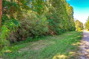 Tbd 27 Timber Grove, Livingston, TX 77351 - Photo 1