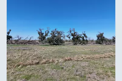 35496 Repka Road, Waller, TX 77484 - Photo 8