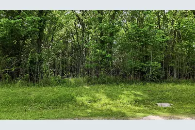 515 Off Spur, Navasota, TX 77868 - Photo 4