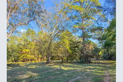 Tbd County Road 2090, Liberty, TX 77575 - Photo 6