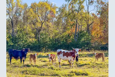 Tbd County Road 2090, Liberty, TX 77575 - Photo 22