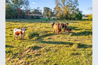 Tbd County Road 2090, Liberty, TX 77575 - Photo 44