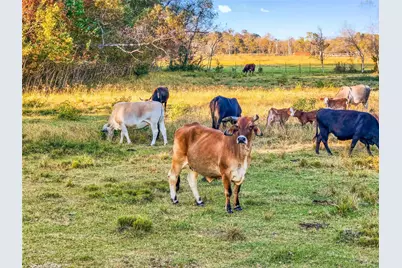 Tbd County Road 2090, Liberty, TX 77575 - Photo 2