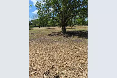 000 Louise Street, Navasota, TX 77868 - Photo 6