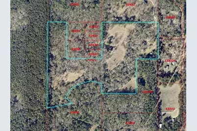 701 Ira Denson Road, Coldspring, TX 77331 - Photo 50