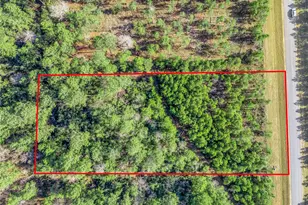 15762 Wood Grv Wy, Willis, TX 77378 - Photo 8