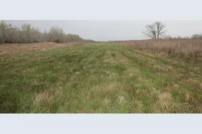 43 County Road 2355, Liberty, TX 77575 - Photo 10