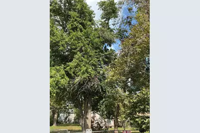 3013 Reid Street, Houston, TX 77026 - Photo 16