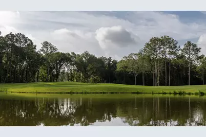 7906 Coastal Prairie Drive, Porter, TX 77365 - Photo 4