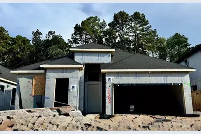 22305 Junction Peak Drive, Porter, TX 77365 - Photo 36