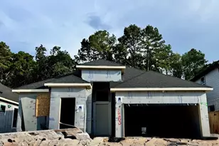22305 Junction Peak Dr, Porter, TX 77365 - Photo 36