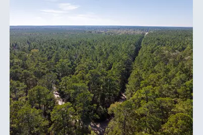 000 Forest Service Road 527, Apple Springs, TX 75926 - Photo 12