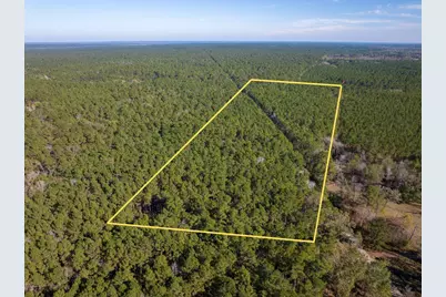 000 Forest Service Road 527, Apple Springs, TX 75926 - Photo 1