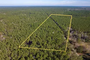 000 Forest Service Road 527, Apple Springs, TX 75926 - Photo 1