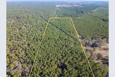 000 Forest Service Road 527, Apple Springs, TX 75926 - Photo 2