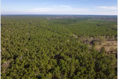 000 Forest Service Road 527, Apple Springs, TX 75926 - Photo 14