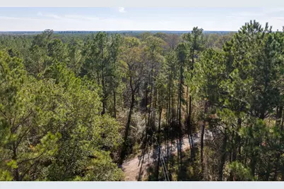 000 Forest Service Road 527, Apple Springs, TX 75926 - Photo 16