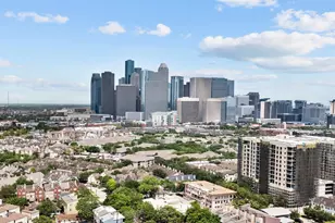 2120 Genesee St, Houston, TX 77006 - Photo 30