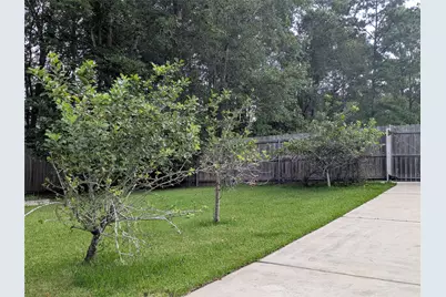 28235 Lazy Rock Drive, Houston, TX 77336 - Photo 28