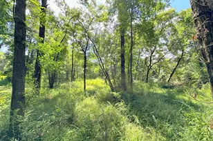 25920 Grand Pines, Magnolia, TX 77355 - Photo 14