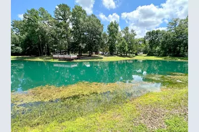 25920 Grand Pines, Magnolia, TX 77355 - Photo 2