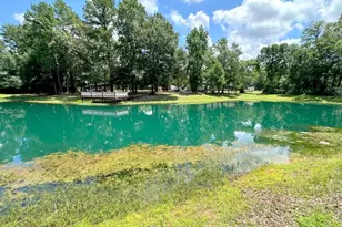 25920 Grand Pines, Magnolia, TX 77355 - Photo 2