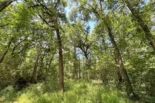 25920 Grand Pines, Magnolia, TX 77355 - Photo 16