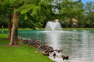 7 Sovereign Way, Conroe, TX 77384 - Photo 44