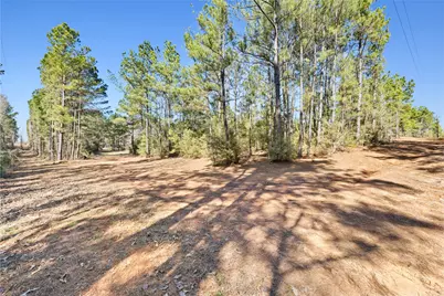 7275 County Road 1830, Crockett, TX 75835 - Photo 24