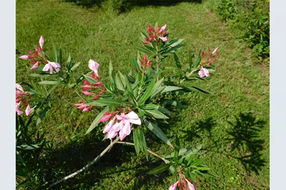 247 Warbler Lane, Livingston, TX 77351 - Photo 30