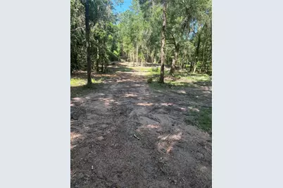 25111 N Clear Creek Road, Hockley, TX 77447 - Photo 4