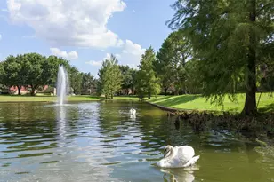 6327 Collina Springs Ct, Houston, TX 77041 - Photo 30