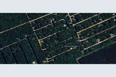 Tbd Foyt Drive, Livingston, TX 77351 - Photo 2