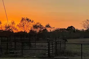 16508 Wilber Rd, Hamshire, TX 77622 - Photo 2