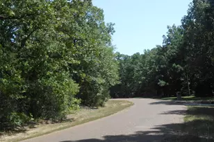 0 Tobacco Rd Rd, Brookeland, TX 75931 - Photo 4