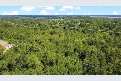 Tbd County Road 4090, Woodville, TX 75979 - Photo 1