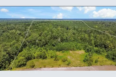Tbd County Road 4090, Woodville, TX 75979 - Photo 2