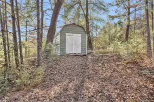 27789 Armadillo Rd, Montgomery, TX 77356 - Photo 46