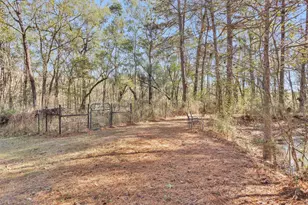 27789 Armadillo Rd, Montgomery, TX 77356 - Photo 42