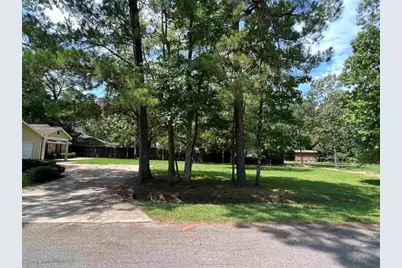 1030 Pine Timbers Drive, Sour Lake, TX 77659 - Photo 32