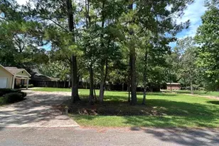 1030 Pine Timbers Dr, Sour Lake, TX 77659 - Photo 32