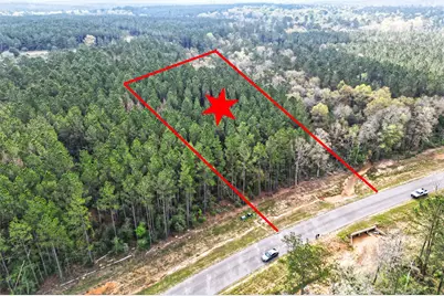 15871 Ridge Oak Road, Willis, TX 77378 - Photo 1