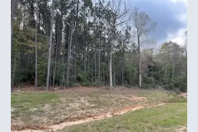 15871 Ridge Oak Road, Willis, TX 77378 - Photo 20