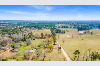 177 County Road 1200, Grapeland, TX 75844 - Photo 6