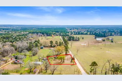 177 County Road 1200, Grapeland, TX 75844 - Photo 2