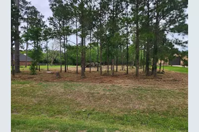 7203 Bayou Timbers Drive, Alvin, TX 77511 - Photo 1