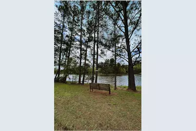15734 Holly Dr, Montgomery, TX 77356 - Photo 8