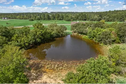 9557 Cedar Creek Lane, Plantersville, TX 77868 - Photo 20