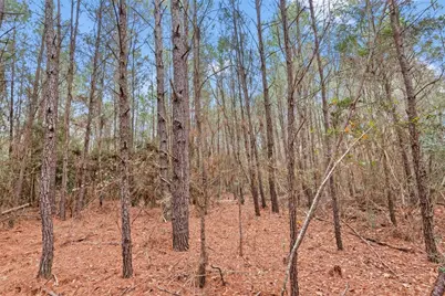 12895 County Road 201, Plantersville, TX 77363 - Photo 24