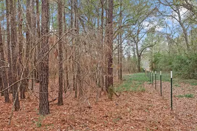 12895 County Road 201, Plantersville, TX 77363 - Photo 8